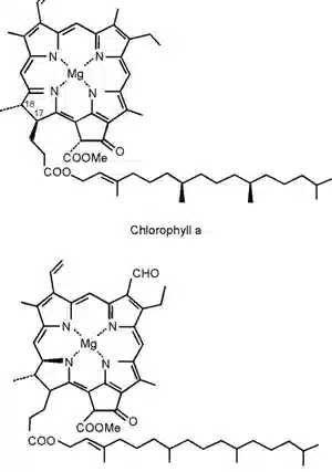 chlorophyll-molecule-300 webp chlorophyll & CBD: legal from hemp