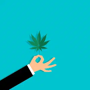 cannabis leaf 300 CBD legal status changed