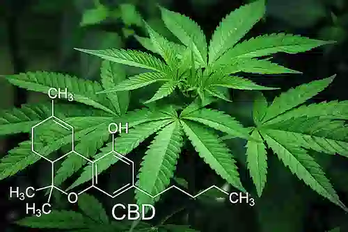 low THC hemp CBD products edibles