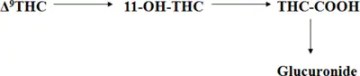 thc metabolites 400