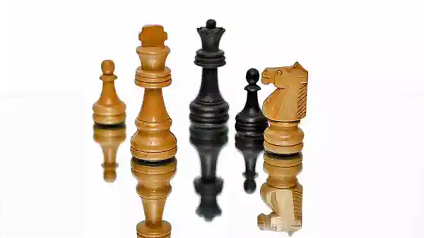 chess FAQ 600 criminal law questions