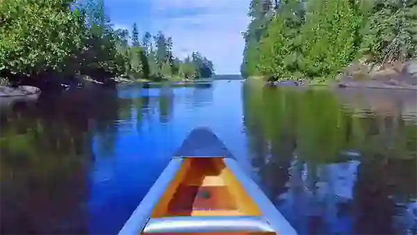 bwca 600 constitutional defenses